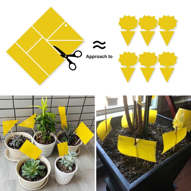 Kensizer 10-Pack Fruit Fly Trap, Yellow Sticky Gnat Trap Killer for Indoor/Outdoor Flying Plant Insect Like Fungus Gnat, Whiteflies, Aphids, Leaf Miners - 6x8 in, Twist Ties Included - Image 2